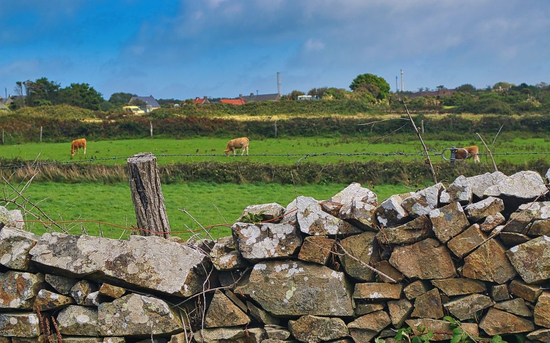 Réparation d’un muret sur Bayeux