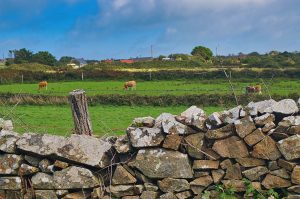 Réparation d'un muret par la Sarl Bouteiller à Bayeux